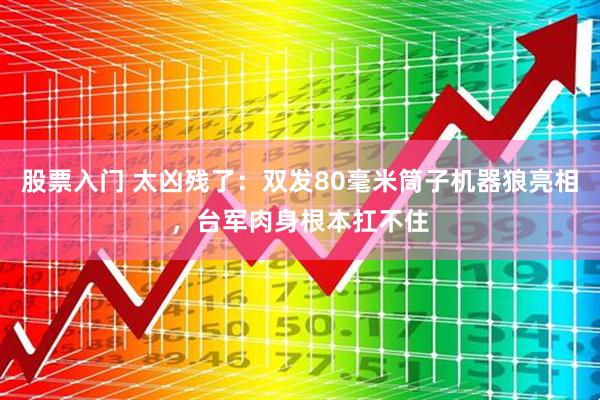 股票入门 太凶残了：双发80毫米筒子机器狼亮相，台军肉身根本扛不住